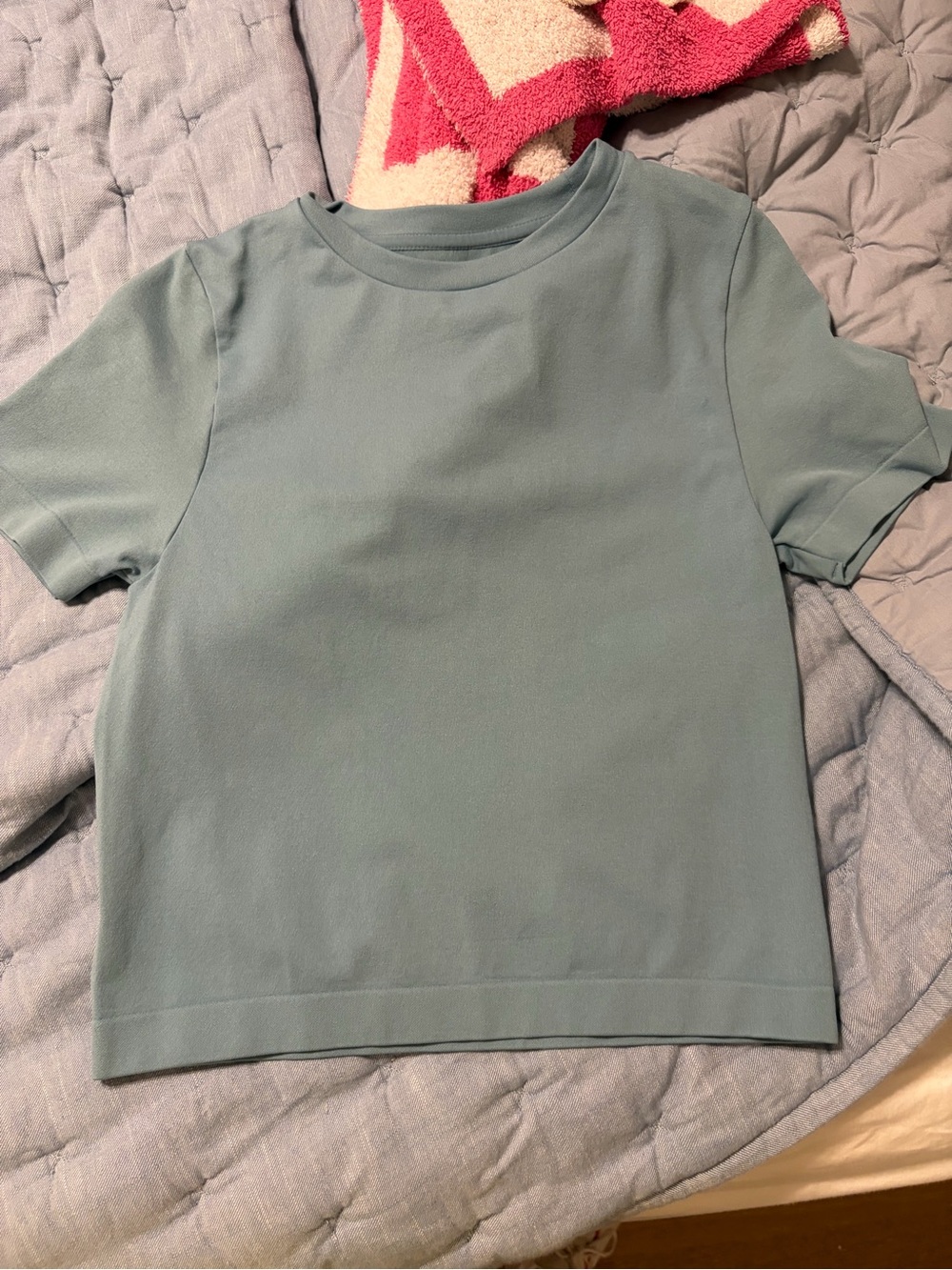 Womens Short Sleeve Crewneck Tee - Sage Blue